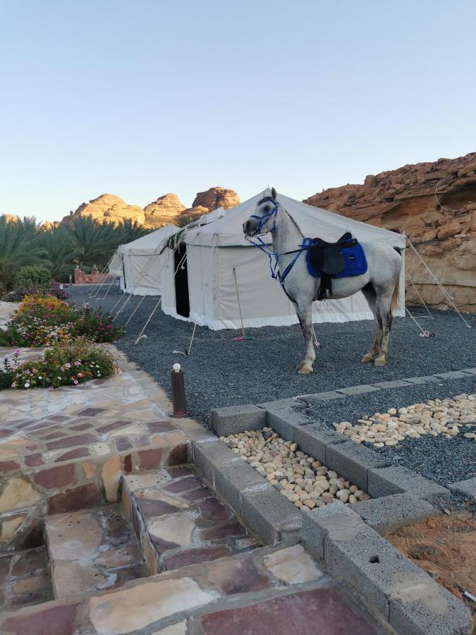 Rural Tents Naseem الخيمةالريفيةalouzaib 알 울라 외부 사진