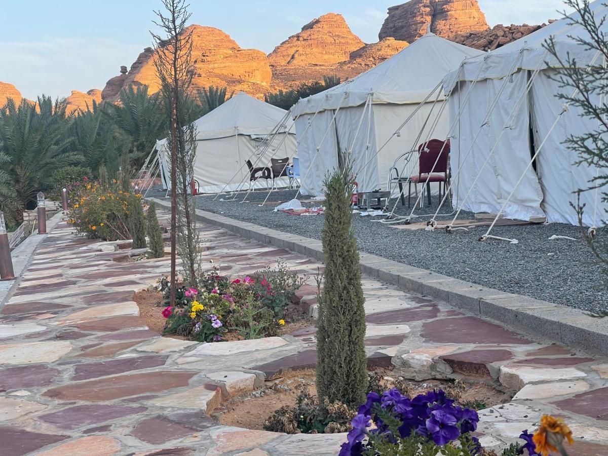 Rural Tents Naseem الخيمةالريفيةalouzaib 알 울라 외부 사진