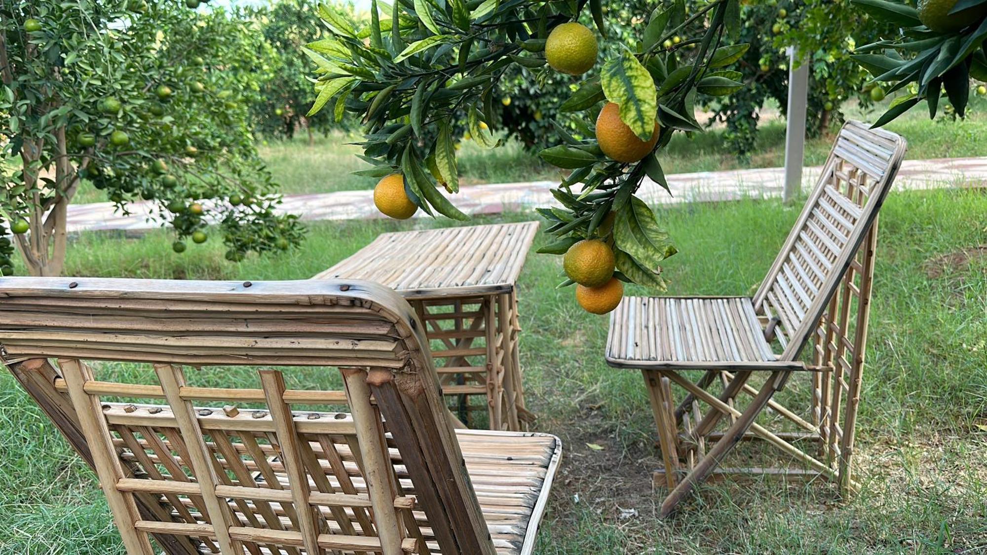 Rural Tents Naseem الخيمةالريفيةalouzaib 알 울라 외부 사진