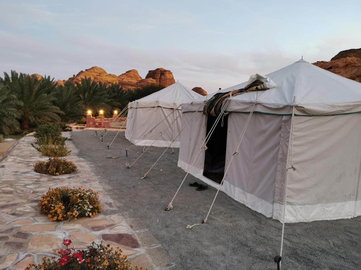 Rural Tents Naseem الخيمةالريفيةalouzaib 알 울라 외부 사진