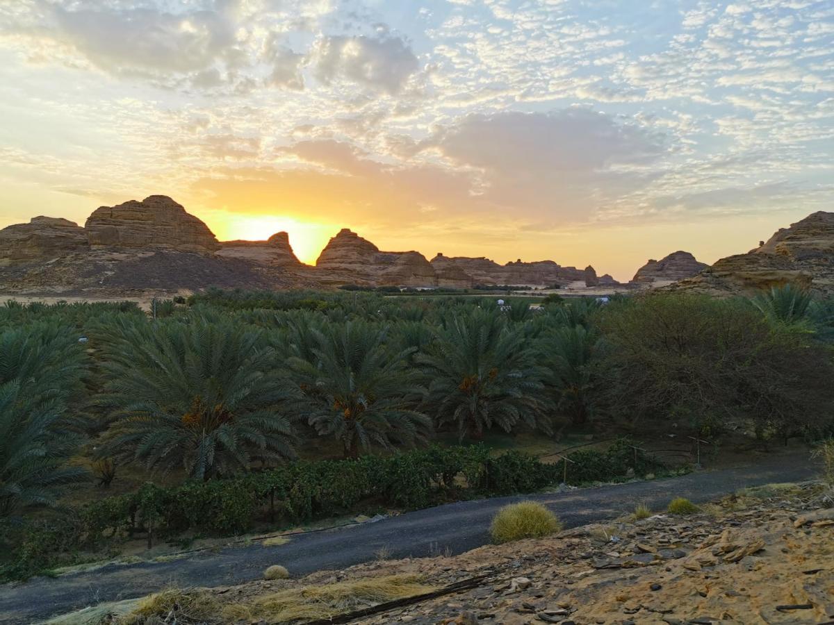 Rural Tents Naseem الخيمةالريفيةalouzaib 알 울라 외부 사진